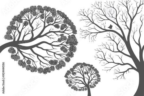 33 Trees from above, aerial view, top-down perspective, black and white illustration, circular tree canopies, branching patterns, organic shapes, symmetrical designs, nature patterns, botanical drawin