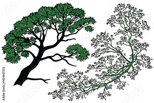 34 Top-down view of trees, aerial perspective, botanical illustration, green foliage, symmetrical patterns, diverse tree species, tropical and temperate trees, circular shapes, lush canopy, detailed b
