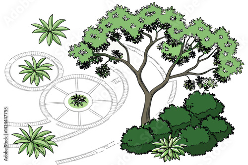 35 Diverse tree illustrations, watercolor style, green foliage, various shapes and sizes, deciduous and coniferous trees, botanical art, isolated on white background, top-down view, nature elements, l