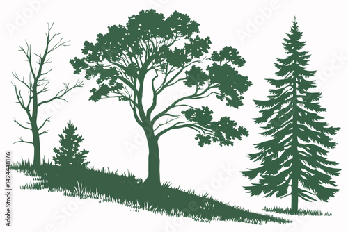 35 Diverse tree illustrations, watercolor style, green foliage, various shapes and sizes, deciduous and coniferous trees, botanical art, isolated on white background, top-down view, nature elements, l
