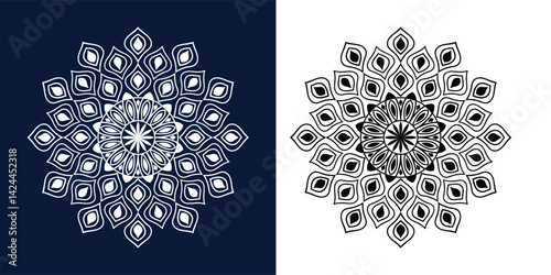 Black and White Lace Diamond Ornament with Silver Jewelry Design Elements