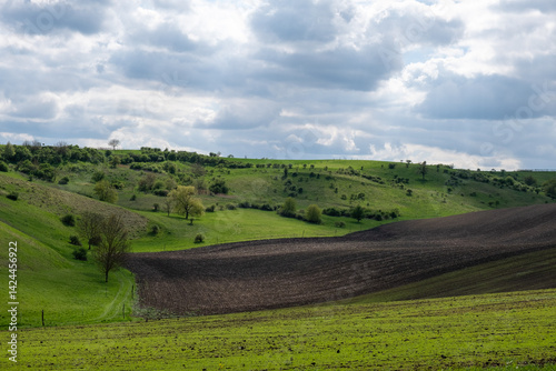 landscape with green fields and cloud