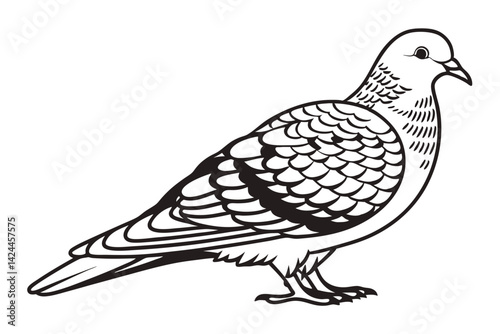 bird