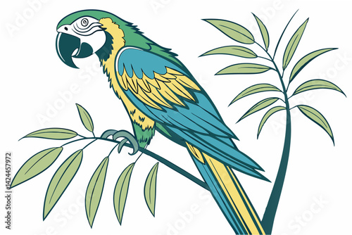 blue and yellow macaw