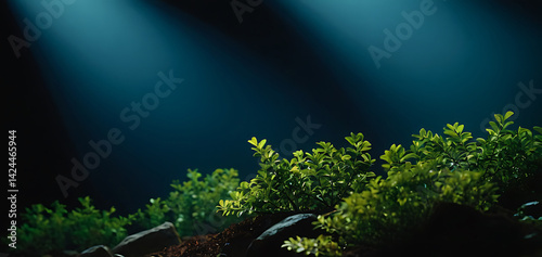 Green plants under bright rays of light on dark wide background