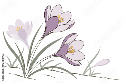 42 Delicate crocus flowers, soft purple petals, yellow stamen, green stems, watercolor painting, botanical illustration, pastel colors, white background, gentle brushstrokes, spring blooms, ethereal, 