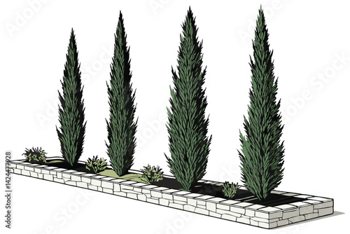 46 Columnar evergreen trees, slender cypress-like foliage, vibrant green needles, vertical growth habit, ornamental landscape plants, white background, botanical illustration style, isolated tree spec