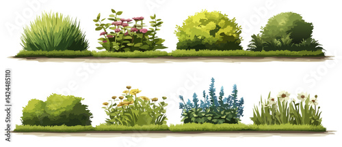 Flowerbeds vector illustration 