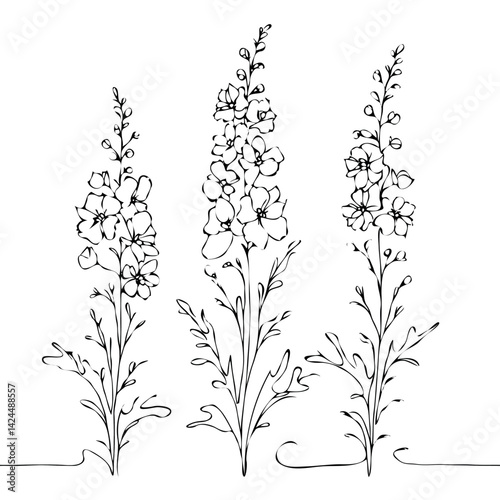 Wallpaper Mural Set of outline herbs, Meadow leaves, doodle floral. Hand drawn wild flowers Botanical drawing. Detailed line art Delphinium illustration. Simple Stylized wildflowers. Black and White Larkspur Torontodigital.ca