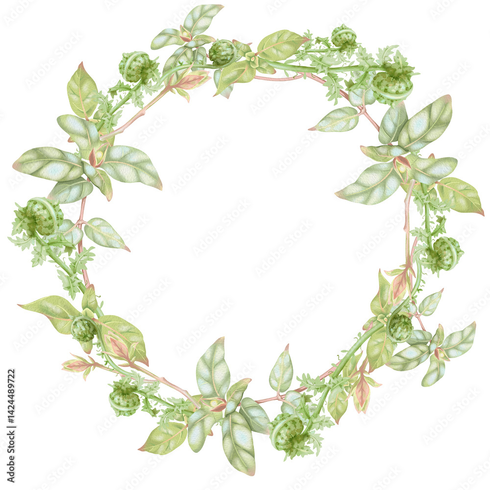 Round honeysuckle frame with green curled ferns. Hand-drawn watercolor natural frame of lush plants. Perfect for wedding invitations, botanical prints, minimalist home decor, romantic greeting cards. Round honeysuckle frame with green curled ferns. Hand-drawn watercolor natural frame of lush plants. Perfect for wedding invitations, botanical prints, minimalist home decor, romantic greeting cards.