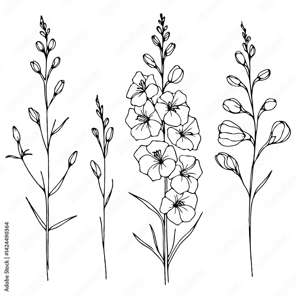 Fototapeta premium Set of outline herbs, Meadow leaves, doodle floral. Hand drawn wild flowers Botanical drawing. Detailed line art Delphinium illustration. Simple Stylized wildflowers. Black and White Larkspur