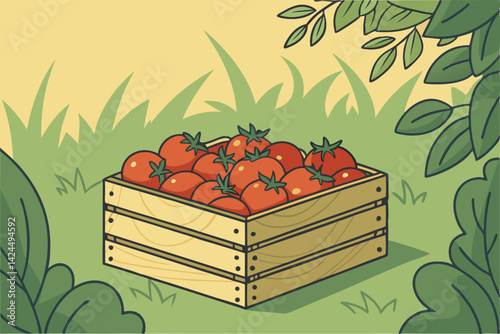 Fresh Crate of Juicy Red Tomatoes Organic Farm Harvest Illustration
