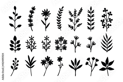 Black Botanical Silhouette Set Featuring Leaves, Branches, And Floral Elements