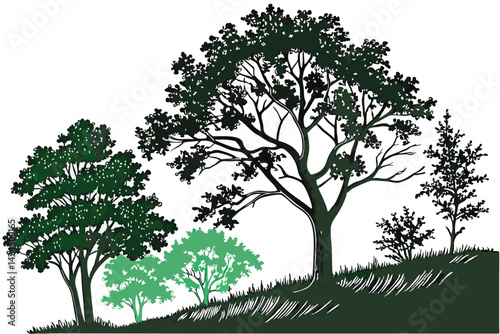 7 Lush green forest, realistic vector illustration, diverse tree species, deciduous trees, shrubs and bushes, layered foliage, natural landscape, botanical artwork, detailed leaf textures, environment