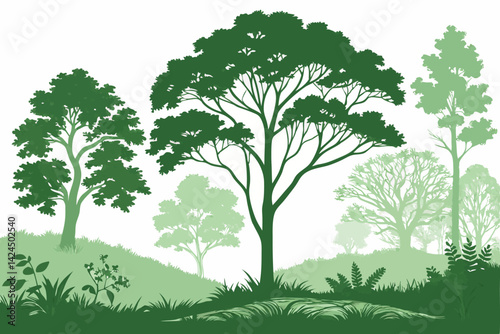 7 Lush green forest, realistic vector illustration, diverse tree species, deciduous trees, shrubs and bushes, layered foliage, natural landscape, botanical artwork, detailed leaf textures, environment