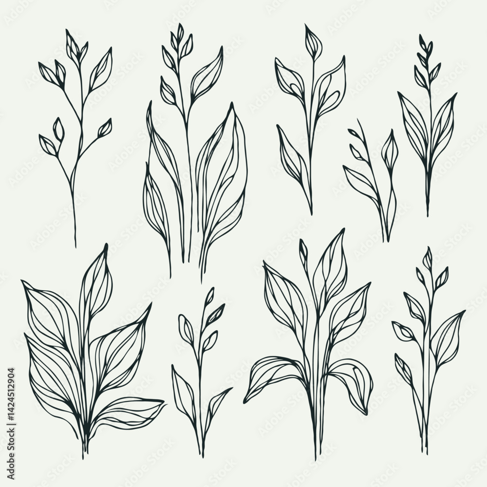 Naklejka premium Set of outline herbs, Meadow leaves, doodle floral. Hand drawn wild flowers Botanical drawing. Detailed line art twigs illustration. Simple Stylized wildflowers Black and White