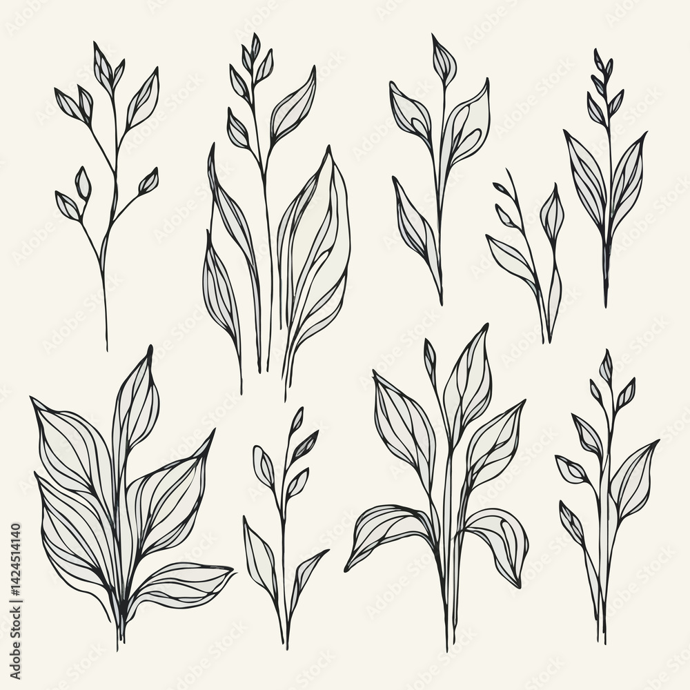 Fototapeta premium Set of outline herbs, Meadow leaves, doodle floral. Hand drawn wild flowers Botanical drawing. Detailed line art twigs illustration. Simple Stylized wildflowers Black and White
