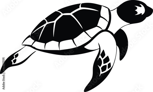Flat design sea turtle swimming, marine reptile with transparent background