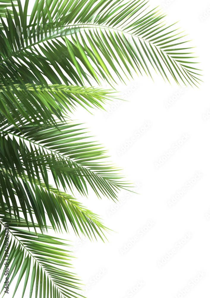 PNG Tropical leaves frame tropical leaf background.