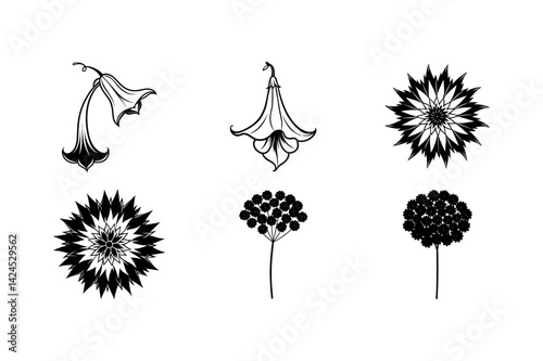 Angel Trumpet Cornflower Yarrow Floral Design