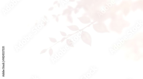 Realistic blurred leaf shadow effect isolated on transparent background. blur branch leaves shadow. Plant foliage silhouette. Nature design element for spring summer