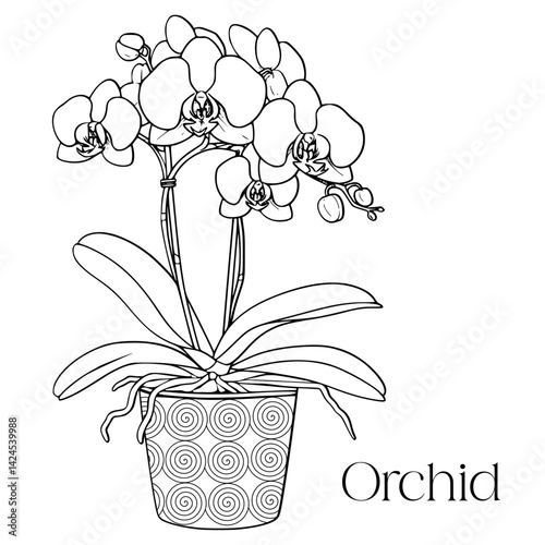 Orchid flower in decorative pot. Black and white coloring page for kids and adults. Anti-stress floral illustration. Isolated line art perfect for print and digital use.