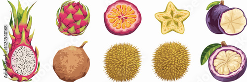 Vector sheet of exotic fruits with dragon fruit, passion fruit, star fruit, rambutan, durian, and mangosteen – Great for tropical food promotions, exotic fruit markets, or culinary content.