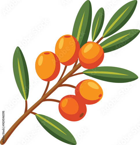 Sea Buckthorn