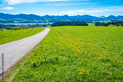Blick über Wallersee auf Salzburg im Frühling