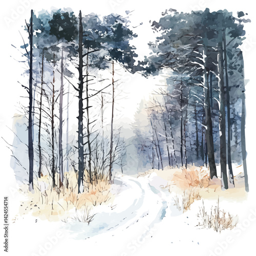 Winter forest with a trail leading into the distance, watercolor illustration, isolated on a white background.

