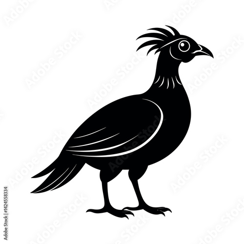 Black Vector Silhouette of Great Argus Bird on White Background