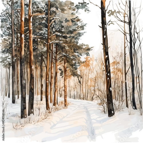 Winter forest with a trail leading into the distance, watercolor illustration, isolated on a white background.

