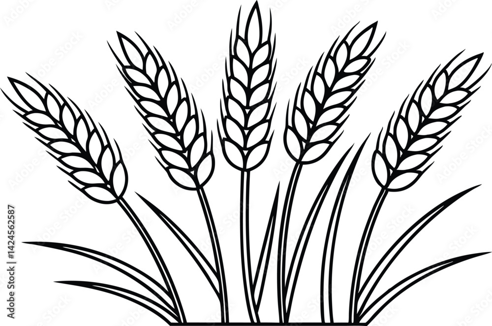 Black Outlined Wheat Stalks and Grass Isolated on White Background Black Outlined Wheat Stalks and Grass Isolated on White Background