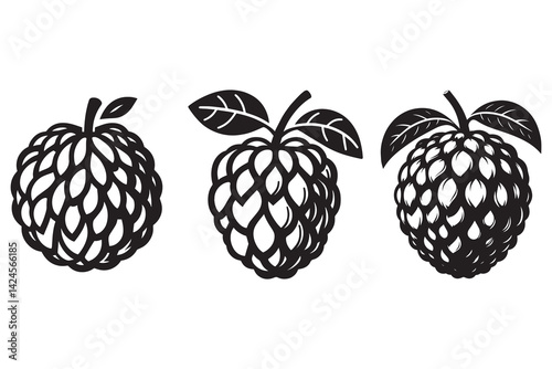 Custard apple silhouette with white background