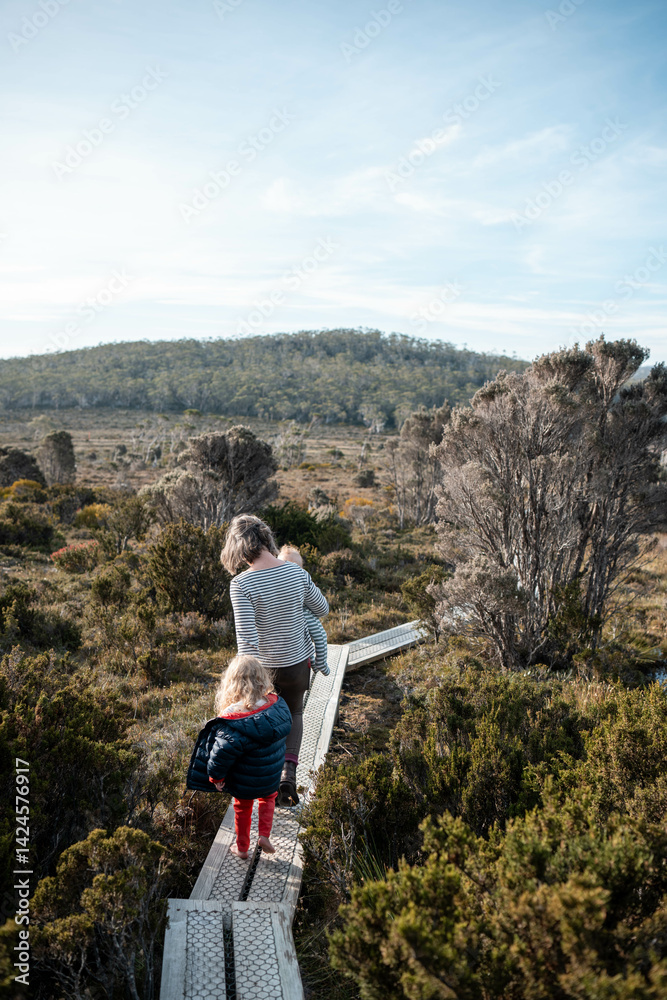 tasmania alpine plants, hiking with a baby on a boardwalk in a national park