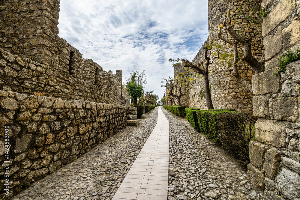 The castle of the village of Montemor-o-Velho in Portugal is the main fortress of the Baixo Mondego in medieval times