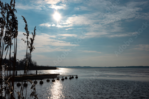 Obraz na płótnie Reed against the harsh light of the sun ove the lake. Photo taken in natural lighting in the middle of sunny day. w salonie