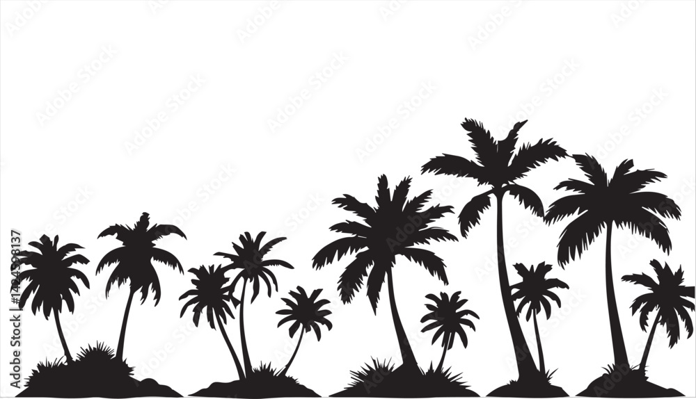 Obraz premium A group of palm trees