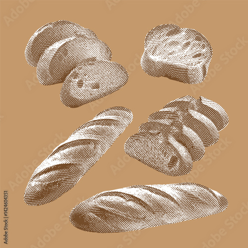 Baguette vector, Baguette illustration, line drawing on light brown background.