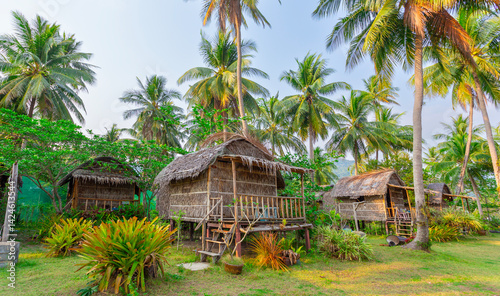 Beautiful tropical forest at island Koh Chang