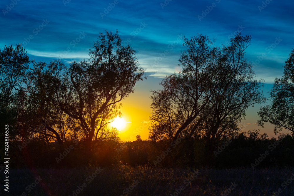 landscape of sunset with cloudy orange sky