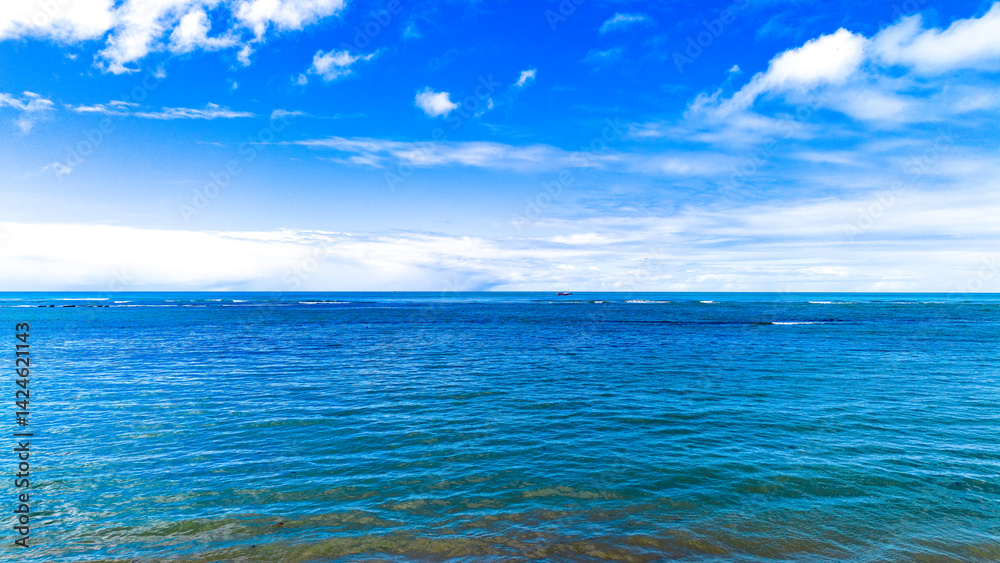 Obraz premium Southern beaches in Bahia, Brazil