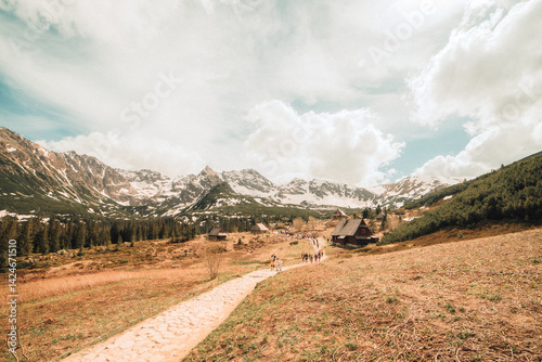 Mountain road
