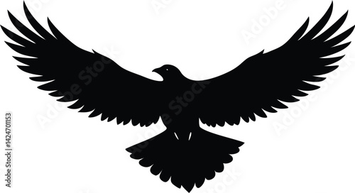 Flying Eagle Close Up Silhouette
