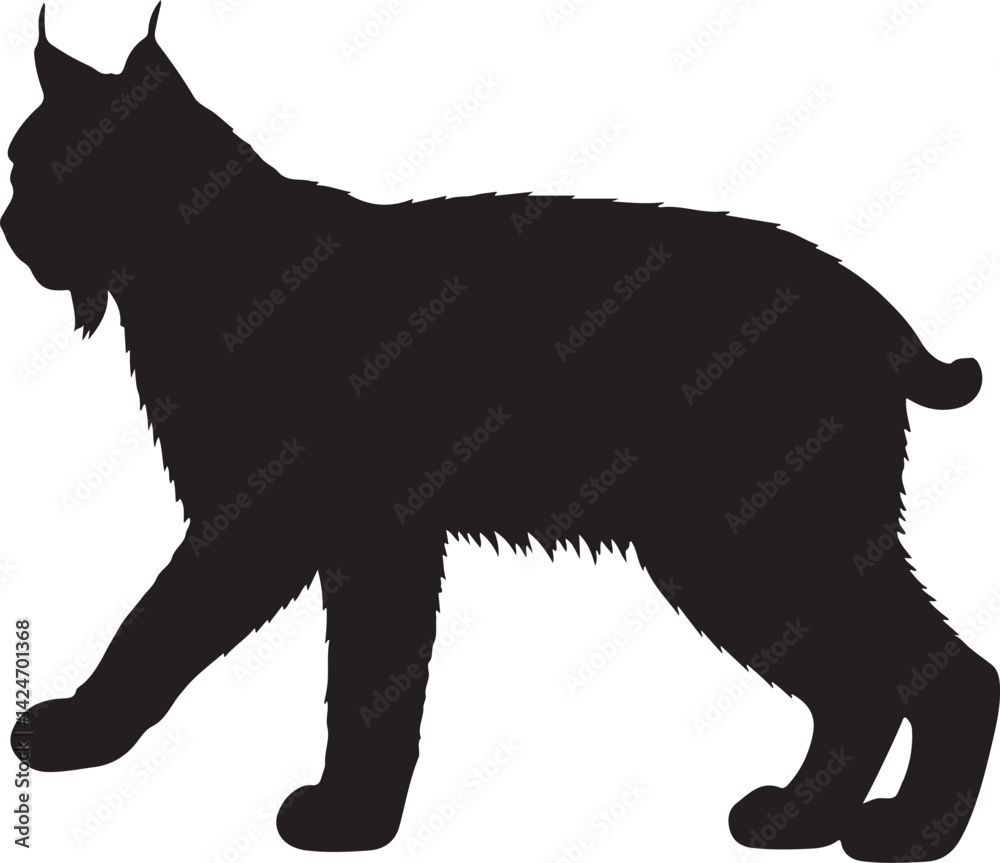 Obraz premium Bobcat Silhouette on White Background