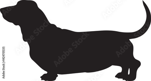 Basset Hound Silhouette on White Background