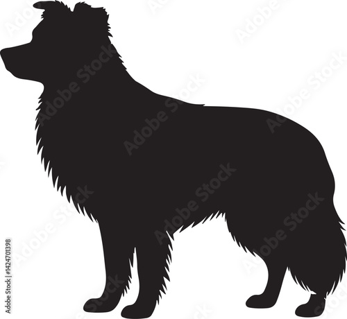 Border Collie Silhouette on White Background
