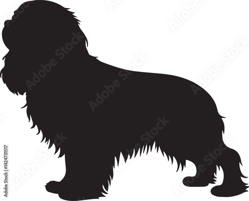 Cavalier King Charles Spaniel Silhouette on White Background