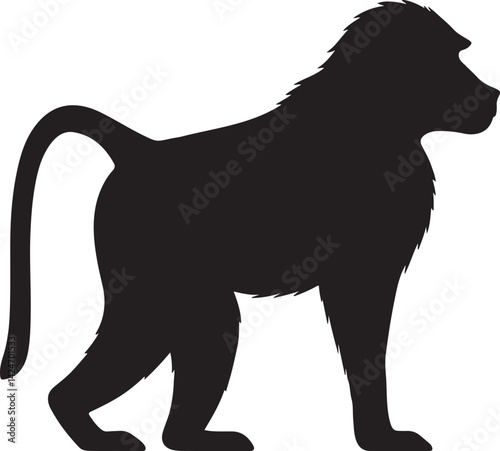 Chacma Baboon Silhouette on White Background