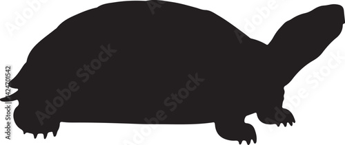 Chinese Pond Turtle Silhouette on White Background
